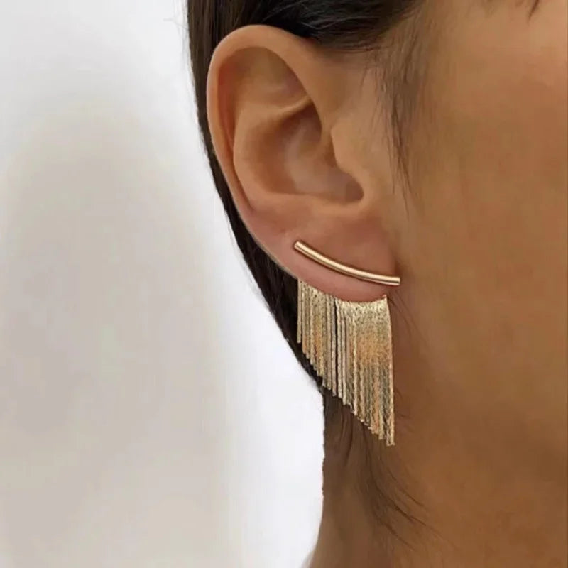 Fashion earrings with tassels